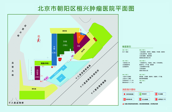 就要操逼网北京市朝阳区桓兴肿瘤医院平面图